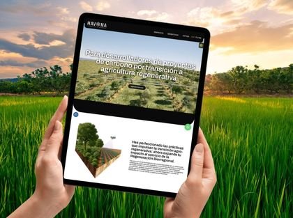 Página web de Havona